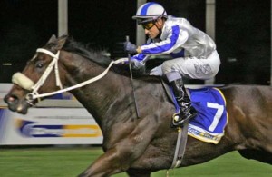 Bay Route has won five of his seven starts over 1600m at Greyville