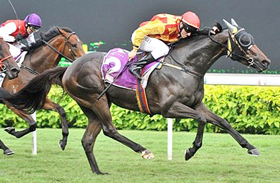 Hot Gold - Singapore Racing