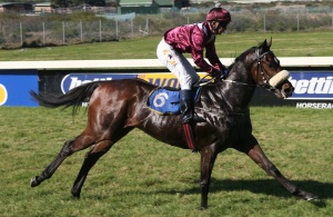 Good Sort. A file pic of Icemberg winning at kenilworth when still Cape based