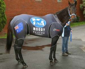 Hot Girl! Black Caviar in her suit