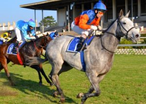 Stormer! Hurricane Katrina wins the Listed East Cape Breeders (Coastal Photos) 