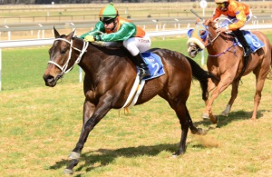 Speed Merchant. De Var Hyt (Piere Strydom) gallops strongly to win. The third placed Goldstream is in the background (JC Photos)