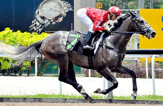 Strubeli scoring his maiden victory with ease on Sunday Strubeli scoring his maiden victory with ease on Sunday 18 August 2013