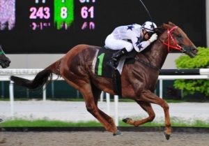 Curtain Down. The aptly named Superb Success is Moreira's final Singapore winnner