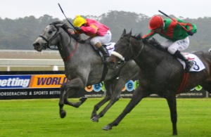 High Flyer! Top Jet (inside) gets the better of Cape Cutter to win the Racing Association Stakes (Coastal Photos)