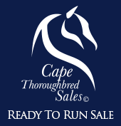 Cape Thoroughbred Sales