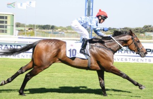 The Moon's A Balloon! Tippuana Moon (MJ Byleveld) gallops on strongly to win the Gr3 Cape Stayers Handicap (Equine Edge)