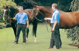 Sadler's Wells & Danehill