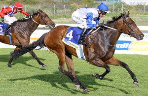Top Form. The Var mare Miss October is enjoying her racing in Gauteng and tries the sand for the first time