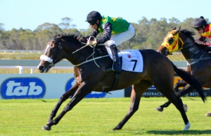 Defiant. Vauclair charges in under Ray Danielson to win the Listed East Cape Sprint Cup (Coastal Photos)