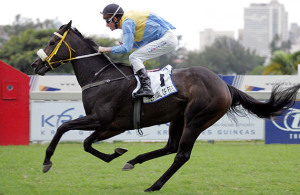 Festival Of Fire wins at Greyville on 13-05-04