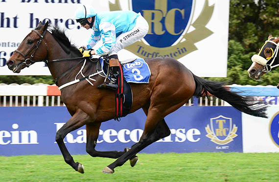 Jet Fever wins at Turffontein 2013-10-12