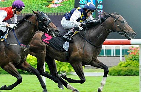 Matterhorn wins in Singapore 05-05-13