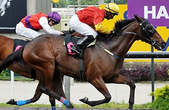 Iluminado wins in Singapore on 19-08-12