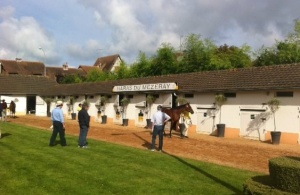 Arqana August Yearling Sale