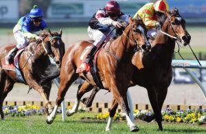 Angelic Light wins McEwen Stakes