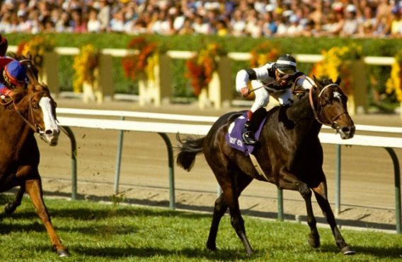 1986 Breeders Cup winner, Last Tycoon