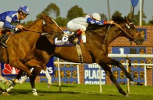 1987 Breeders Cup Turf winner, Theatrical