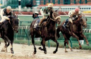 Breeders Cup winner Gulch