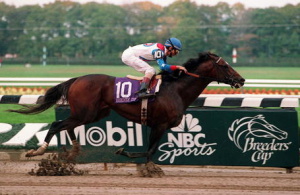 Cigar wins the 1995 Breeders Cup