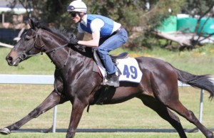 Sparkling! # 49 Diamond, a daughter of Seventh Rock, stretches beautifully