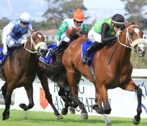 Act Of War wins the Cape Guineas