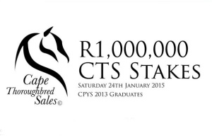 CTS Sales Race