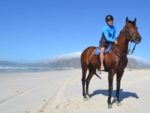 Richard Fourie and Legislate on the beach