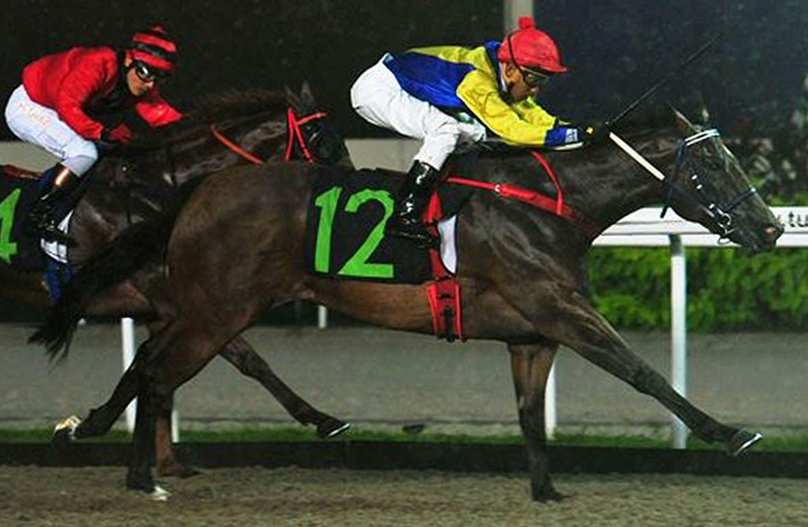 Mexican Gal wins debut at Singapore 11-07-14