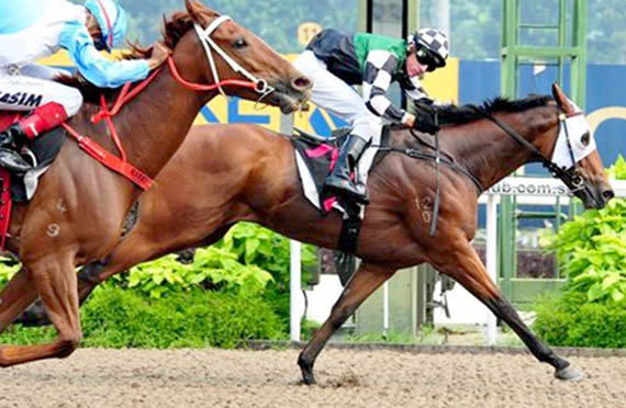 Best Tothelign wins in Singapore on 02/11/14