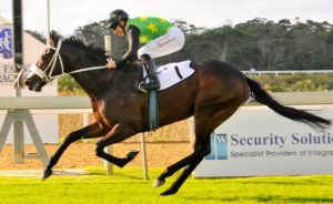 East Cape Derby winner has a close relative on the sale