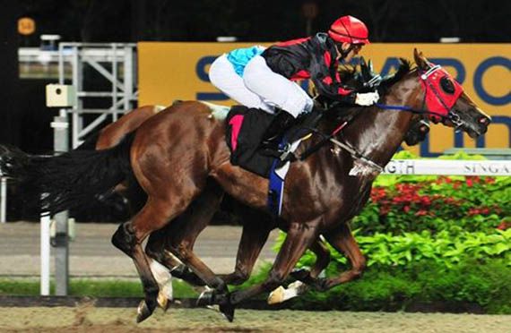 Castor wins in Singapore on 27 June 2014