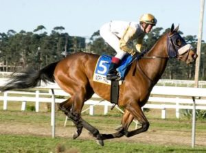 Gr1 winner Ivory Trail dethroned Pocket Power