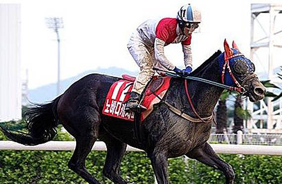 Nobody Catch Me wins the 2014 Busan Metropolitan