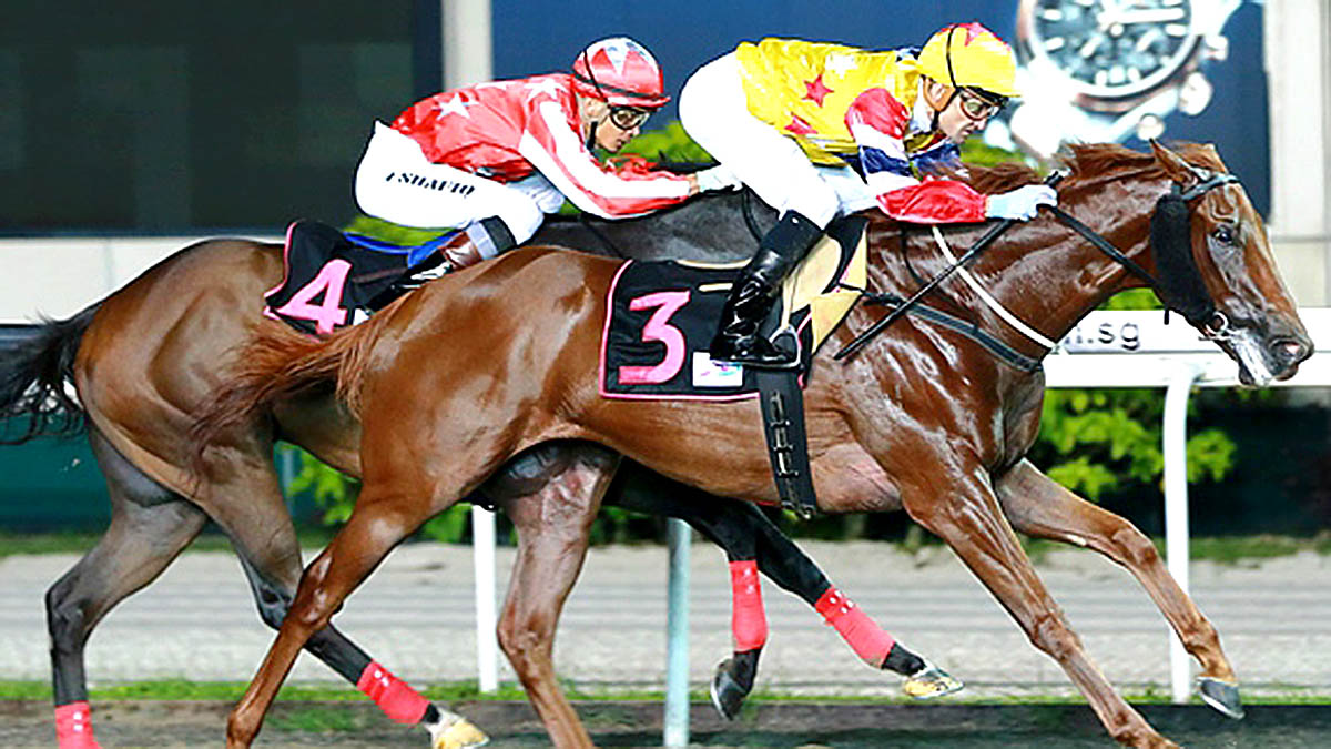 Golden Tomahawk wins in Singapore on 29-05-15