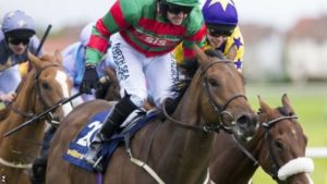 Don't Touch won the Ayr Gold Cup