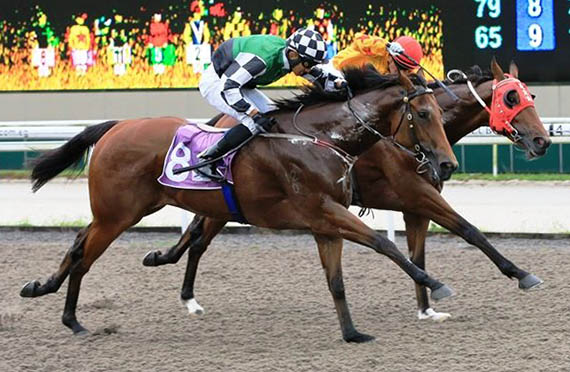 Order Of The Sun wins in Singapore