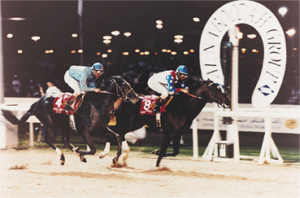 1996 Dubai World Cup - Cigar (photo: Dubai Racing Club)