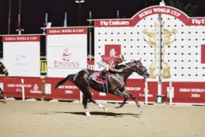 2001 Dubai World Cup - Captain Steve (photo: Dubai Racing Club)