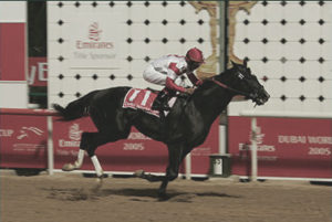 2005 Dubai World Cup - Roses In May (photo: Dubai Racing Club)