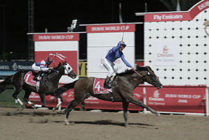 2006 Dubai World Cup - Electrocutionist (photo: Dubai Racing Club)