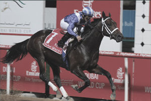 2007 Dubai World Cup - Invasor (photo: Dubai Racing Club)