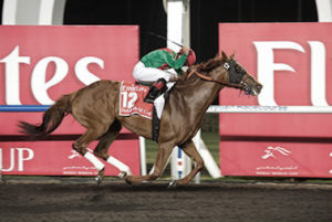 2013 Dubai World Cup - Animal Kingdom (photo: Dubai Racing Club)