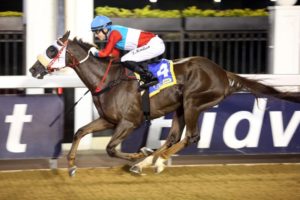 Lyle Hewitson (photo: Gold Circle)