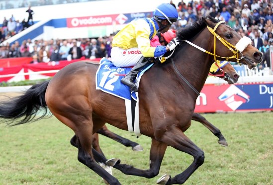 SA Horses Arrive In Mauritius | Sporting Post