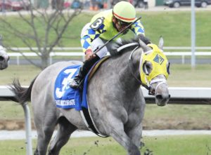 Fast And Accurate (photo: Kentucky Derby/Coady Photography)