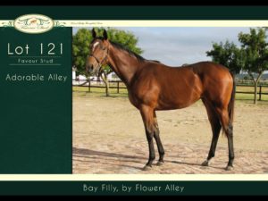 2018 CPYS Lot 121 - ADORABLE ALLEY (Flower Alley - Red Dor)