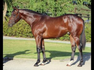 2018 CPYS Lot 17 - UNNAMED (Vercingetorix - Giants Bounty)