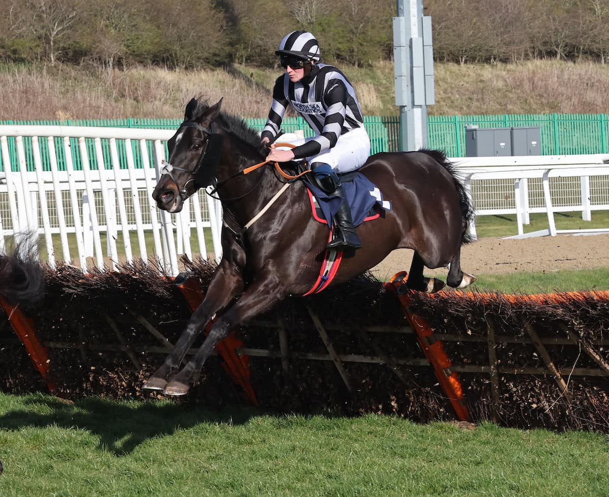 Fighting Fifth Hurdle Is Here! Sporting Post