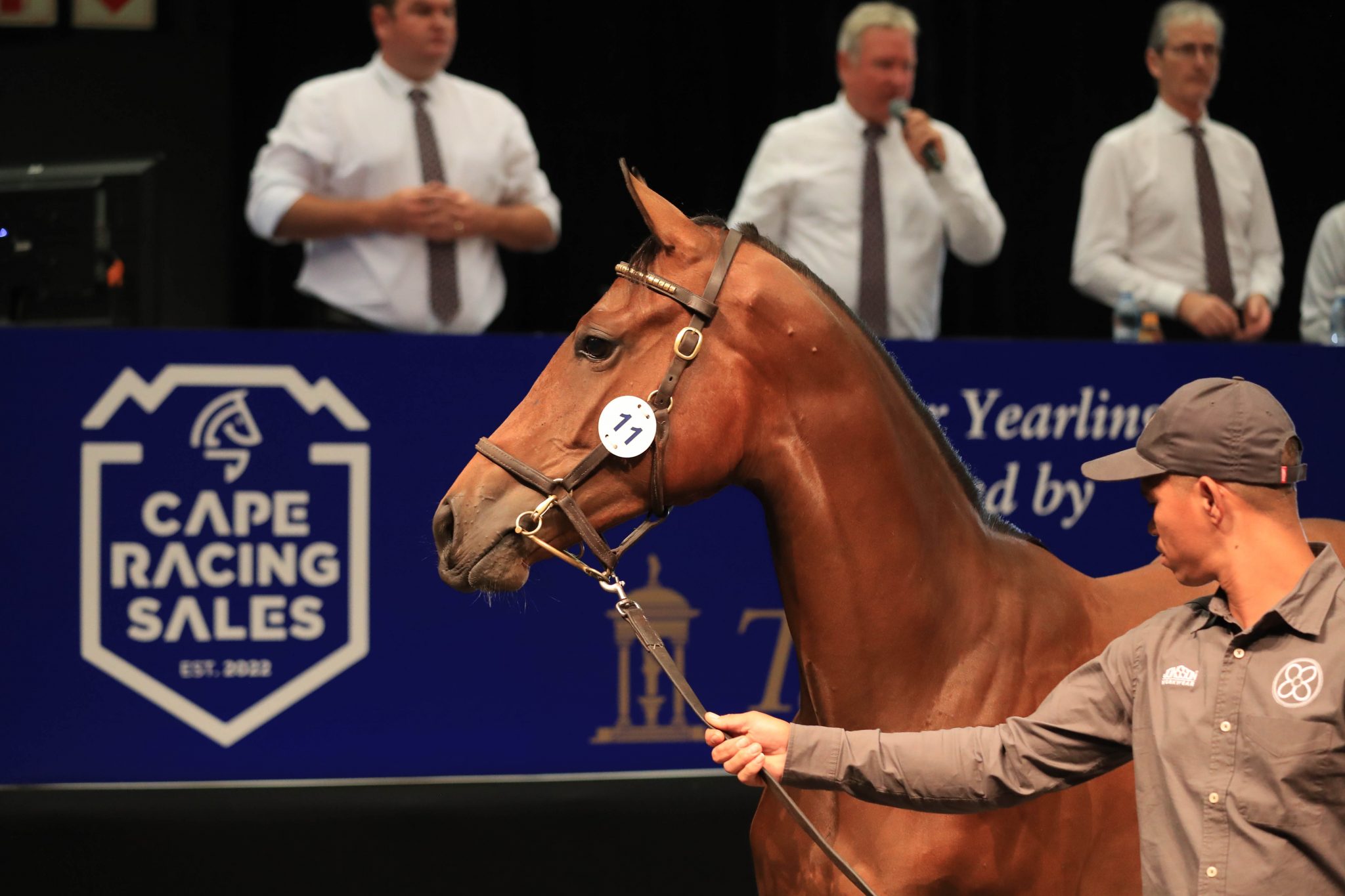 Cape Racing Premier Yearling Sale Bigger And Even Better In 2024